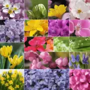 3. 有哪些颜色和香味能代表春季呢？