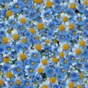 我们是否可以找到一种方法将这些蓝色花朵进行组合成一个独特的图案设计用于墙纸或者其他家居饰品产品中呢？如果是的话，这种方案的优点是什么？缺点又是什么呢？