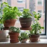 哪些小型盆栽最适合放在窗户边上以获得阳光和光照？
