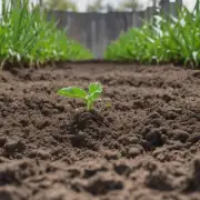 Are there any special requirements when it comes to soil or fertilizer?
