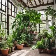 你想在你家摆放什么样的室内植物？