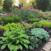 我们应该如何评估我们的花园中不同种类植物之间的生长速度差异并做出相应的决策？