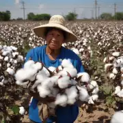 你认为中美木棉在文化上扮演着什么样的角色？