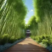 如果你想要一个漂亮的竹芋花园你需要考虑哪些因素来确保成功地完成它？
