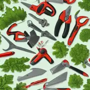 哪些工具或设备可以帮助你更好地修剪你的观叶植物呢？