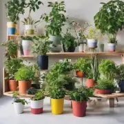 有哪些与春天相关的特色植株或盆栽可以种植在家中以装饰房间并增加氧气含量？