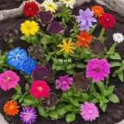什么是最适合种植花卉的颜色土壤？为什么？