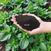 什么是一种可替代化学肥料并适合用于米兰植物健康发展的天然无毒且环保型有机肥料呢？