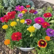 你喜欢在花园里种植哪些类型的花卉呢?