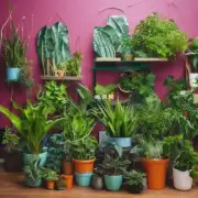 哪些植物最适合用作室内绿色装饰物?