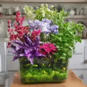 如何在室内种植海棠花?