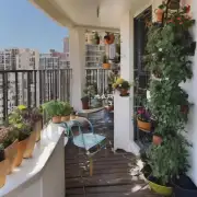 家里的阳台适合种植什么类型的梅花?