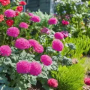 什么是最好的肥料类型用于花园和庭院？