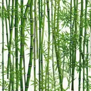 "富贵竹是什么植物？"\n这是贵客在问的第一个问题是对吗？
