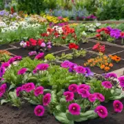 什么是最适合种植花卉的最佳土壤？