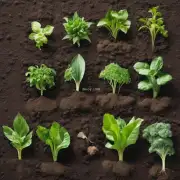 哪些农作物对土壤酸度最敏感？