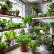 什么是室内种植？为什么人们喜欢在冬季或春季进行室内种植？
