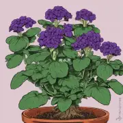 如何正确地修剪紫藤以促进生长和结果产量？