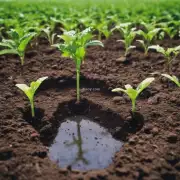 7. 针对不同的季节，应该采取哪些措施来了解并保持适当的土壤湿度水平？