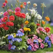哪些花卉在春季最好养育呢？