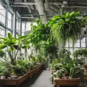 在室内养护植物时要注意的事项有哪些？