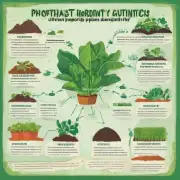 你知道一些常见的被认为对植物有益的营养物质包括哪些？例如磷、氮。这些养分是如何帮助植物健康成长并发挥功效的？