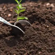 我们可以自己制造一种特殊的土壤吗？如果是的话，需要哪些材料或成分呢？