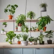 什么是最好的室内植物？