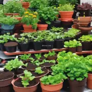 如果你在种植室内盆栽时使用了无机肥料（如氮、磷或钾），你会如何处理剩余物以避免对环境造成污染？