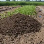 为什么需要使用特定的土壤来种植雀梅呢？