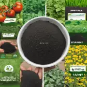 如果你选择的是有机肥料的话，你想知道有哪些品牌或者种类可以选择呢？
