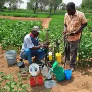 使用何种工具或设备进行水培种植？