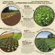 你想知道哪种类型的肥料？有机、无机还是混合型？