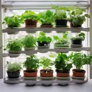这些植物是否易于培养在室内或其他环境中吗？