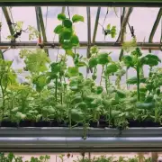 如果您想在室内或室外都生长良好的话，那么哪种类型的植物最适合您的需求和环境条件呢？