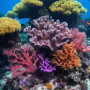 撒金桃叶珊瑚属于哪个科？