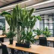 你想知道哪种类型的植物适合放在办公室？
