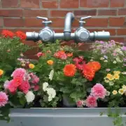 我们应该在什么时候和什么频率浇水来保持健康的花卉生长状态？