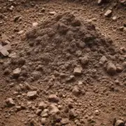 生石花生长在酸性土壤中吗？