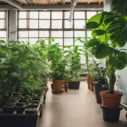 哪些类型的植物最适合用于室内种植? 这些植物有助于提高室内空气品质吗？