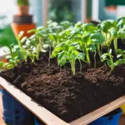 哪些类型的土壤适合种植室内盆栽花卉？