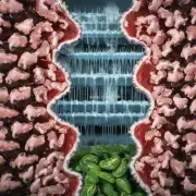 多肉植物对水分的需求量是多少以及如何浇水以避免过度或不足导致伤害？