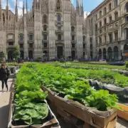 在米兰市中心种植植物需要使用什么样的肥料？