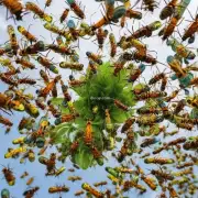 当有大量昆虫飞舞于空中的时候是否会对该种植物的生长状况有所提升？ 为什么会出现这种情况？