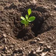 如果使用酸性土壤会发生什么情况呢？