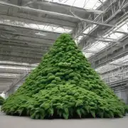 如果你想要一个能够提供氧气和吸收二氧化碳的大型绿色植栽物的话，你该如何选择它？