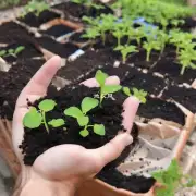 如果我不能立即开始种植是否需要将种子保存起来直到适合的时间吗？