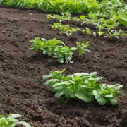 最佳选择是富含有机质和营养物质排水良好的壤土建议使用混合泥炭或腐叶土作为基肥料来提高植物养分含量并保持水分平衡
我们如何知道所选土壤是否符合条件呢？