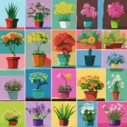 哪些颜色系最适合在室内摆放鲜花或盆栽？