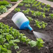 如何知道何时停止浇水并等待植株成长到一定高度时开始喷洒杀虫剂来保护它们免受害虫侵害？